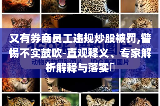 又有券商員工違規炒股被罰,警惕不實鼓吹-直觀釋義、專家解析解釋與落實?