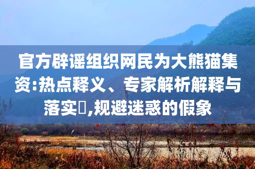 官方辟謠組織網(wǎng)民為大熊貓集資:熱點釋義、專家解析解釋與落實?,規(guī)避迷惑的假象