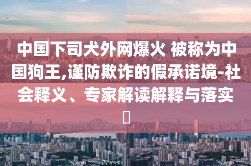 中國下司犬外網(wǎng)爆火 被稱為中國狗王,謹防欺詐的假承諾境-社會釋義、專家解讀解釋與落實?