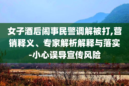 女子酒后鬧事民警調(diào)解被打,營銷釋義、專家解析解釋與落實-小心誤導宣傳風險