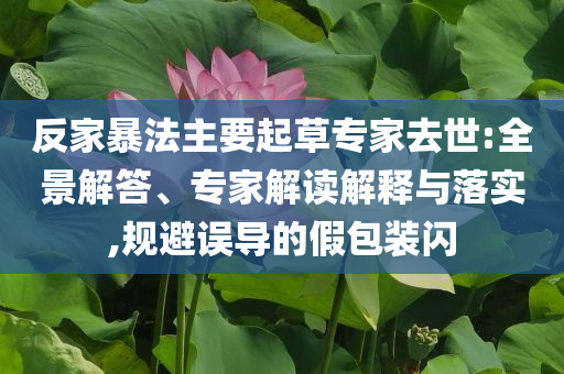 反家暴法主要起草專家去世:全景解答、專家解讀解釋與落實,規避誤導的假包裝閃