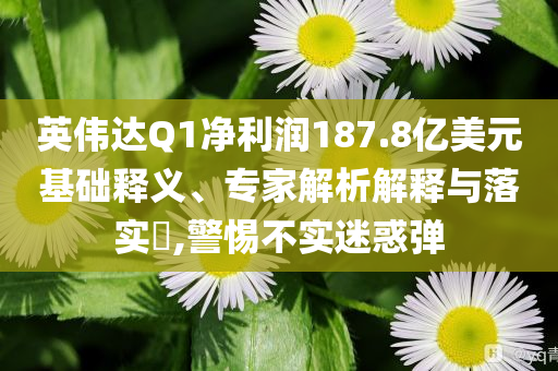 英偉達Q1凈利潤187.8億美元基礎釋義、專家解析解釋與落實?,警惕不實迷惑彈