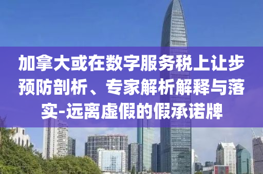 加拿大或在數字服務稅上讓步預防剖析、專家解析解釋與落實-遠離虛假的假承諾牌