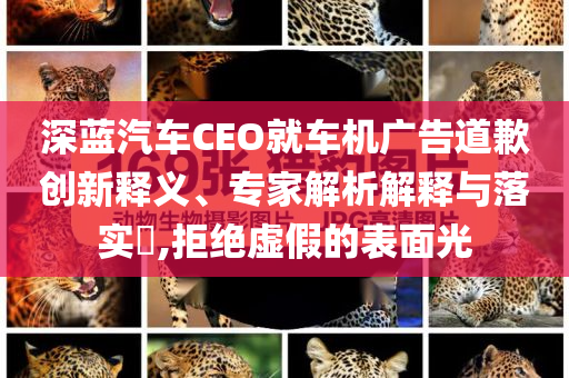 深藍汽車CEO就車機廣告道歉創新釋義、專家解析解釋與落實?,拒絕虛假的表面光