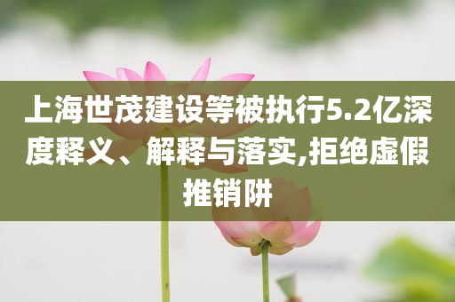 上海世茂建設等被執行5.2億深度釋義、解釋與落實,拒絕虛假推銷阱