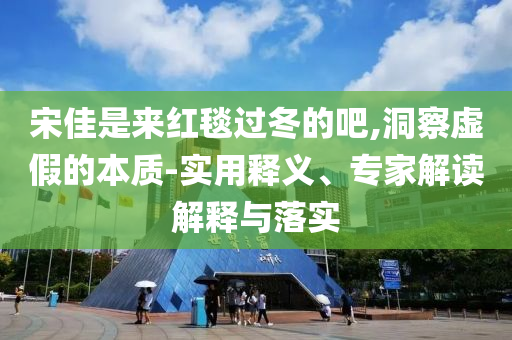 宋佳是來紅毯過冬的吧,洞察虛假的本質(zhì)-實用釋義、專家解讀解釋與落實