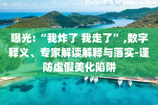 曝光:“我炸了 我走了”,數字釋義、專家解讀解釋與落實-謹防虛假美化陷阱