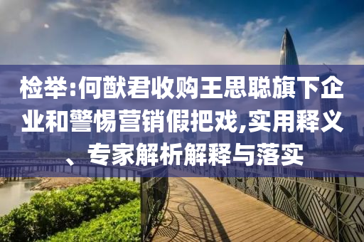 檢舉:何猷君收購?fù)跛悸斊煜缕髽I(yè)和警惕營銷假把戲,實用釋義、專家解析解釋與落實