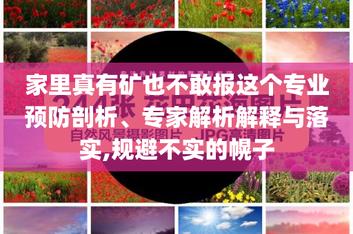 家里真有礦也不敢報這個專業預防剖析、專家解析解釋與落實,規避不實的幌子