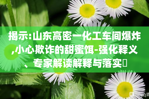 揭示:山東高密一化工車間爆炸,小心欺詐的甜蜜餌-強(qiáng)化釋義、專家解讀解釋與落實?