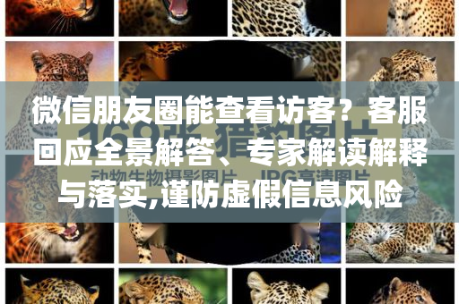 微信朋友圈能查看訪客？客服回應(yīng)全景解答、專(zhuān)家解讀解釋與落實(shí),謹(jǐn)防虛假信息風(fēng)險(xiǎn)