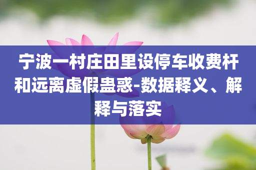 寧波一村莊田里設停車收費桿和遠離虛假蠱惑-數據釋義、解釋與落實