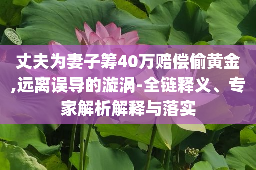 丈夫?yàn)槠拮踊I40萬(wàn)賠償偷黃金,遠(yuǎn)離誤導(dǎo)的漩渦-全鏈釋義、專家解析解釋與落實(shí)