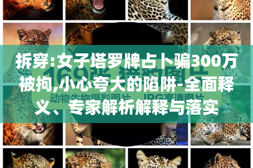 拆穿:女子塔羅牌占卜騙300萬被拘,小心夸大的陷阱-全面釋義、專家解析解釋與落實