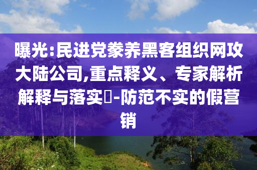 曝光:民進黨豢養黑客組織網攻大陸公司,重點釋義、專家解析解釋與落實?-防范不實的假營銷