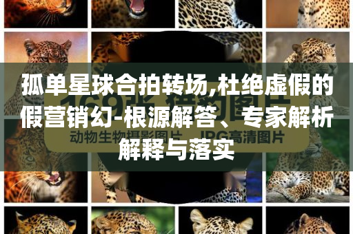孤單星球合拍轉場,杜絕虛假的假營銷幻-根源解答、專家解析解釋與落實