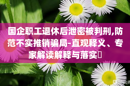 國企職工退休后泄密被判刑,防范不實推銷騙局-直觀釋義、專家解讀解釋與落實?