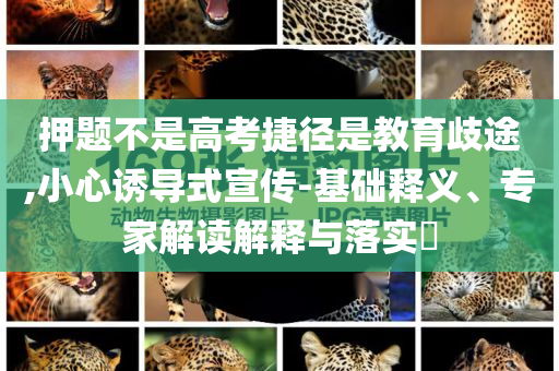 押題不是高考捷徑是教育歧途,小心誘導式宣傳-基礎釋義、專家解讀解釋與落實?