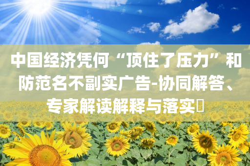 中國經(jīng)濟(jì)憑何“頂住了壓力”和防范名不副實(shí)廣告-協(xié)同解答、專家解讀解釋與落實(shí)?