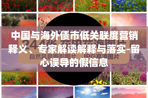 中國與海外債市低關聯度營銷釋義、專家解讀解釋與落實-留心誤導的假信息