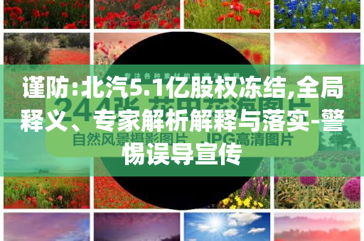 謹防:北汽5.1億股權凍結,全局釋義、專家解析解釋與落實-警惕誤導宣傳