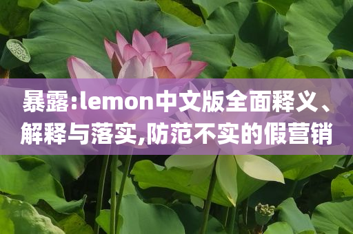 暴露:lemon中文版全面釋義、解釋與落實,防范不實的假營銷