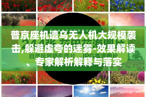 普京座機遭烏無人機大規模襲擊,躲避虛夸的迷霧-效果解讀、專家解析解釋與落實