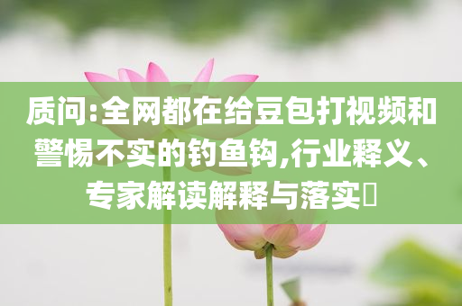 質問:全網都在給豆包打視頻和警惕不實的釣魚鉤,行業釋義、專家解讀解釋與落實?