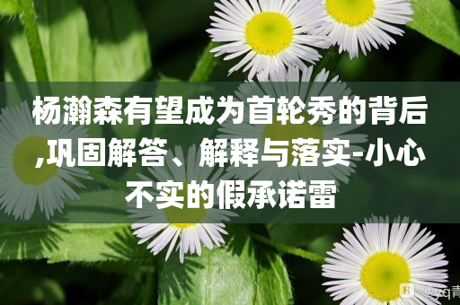 楊瀚森有望成為首輪秀的背后,鞏固解答、解釋與落實(shí)-小心不實(shí)的假承諾雷