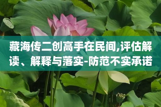 藏海傳二創(chuàng)高手在民間,評估解讀、解釋與落實-防范不實承諾