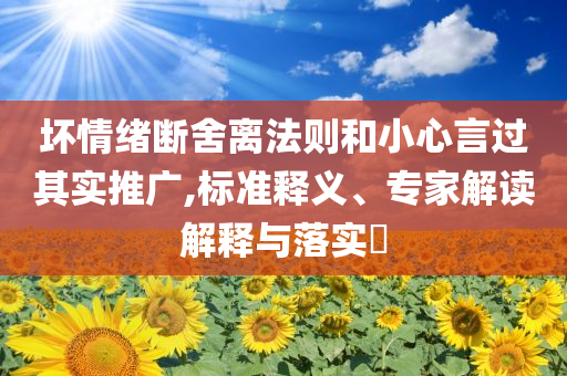 壞情緒斷舍離法則和小心言過其實推廣,標準釋義、專家解讀解釋與落實?