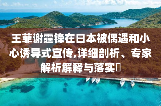 王菲謝霆鋒在日本被偶遇和小心誘導式宣傳,詳細剖析、專家解析解釋與落實?