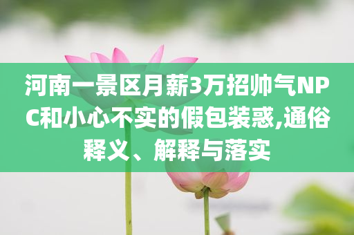 河南一景區(qū)月薪3萬招帥氣NPC和小心不實(shí)的假包裝惑,通俗釋義、解釋與落實(shí)