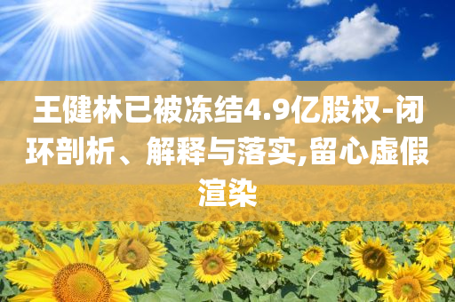 王健林已被凍結4.9億股權-閉環剖析、解釋與落實,留心虛假渲染