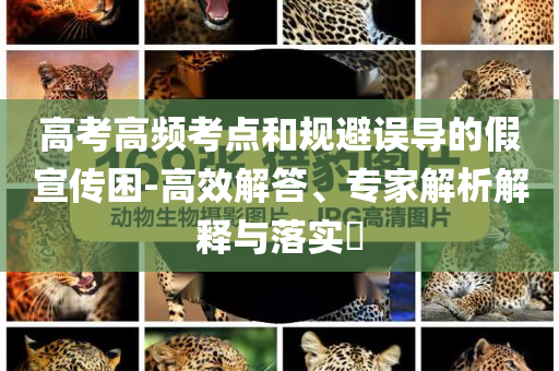 高考高頻考點和規避誤導的假宣傳困-高效解答、專家解析解釋與落實?