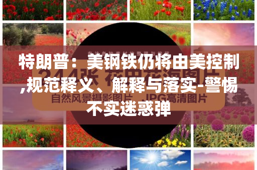 特朗普：美鋼鐵仍將由美控制,規(guī)范釋義、解釋與落實-警惕不實迷惑彈
