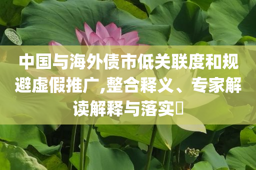 中國與海外債市低關(guān)聯(lián)度和規(guī)避虛假推廣,整合釋義、專家解讀解釋與落實?