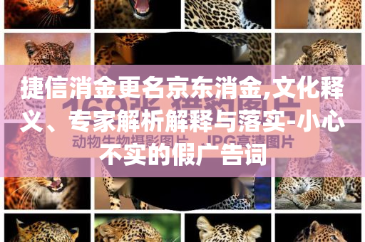 捷信消金更名京東消金,文化釋義、專家解析解釋與落實-小心不實的假廣告詞