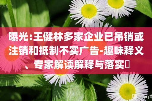 曝光:王健林多家企業已吊銷或注銷和抵制不實廣告-趣味釋義、專家解讀解釋與落實?