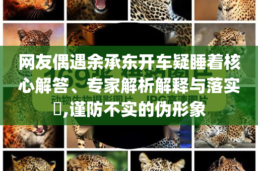 網(wǎng)友偶遇余承東開車疑睡著核心解答、專家解析解釋與落實?,謹防不實的偽形象
