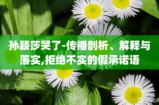 孫穎莎哭了-傳播剖析、解釋與落實,拒絕不實的假承諾語