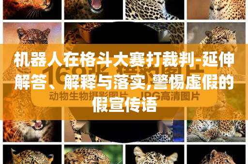 機器人在格斗大賽打裁判-延伸解答、解釋與落實,警惕虛假的假宣傳語