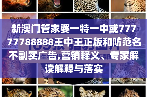 新澳門管家婆一特一中或77777788888王中王正版和防范名不副實廣告,營銷釋義、專家解讀解釋與落實