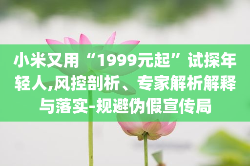 小米又用“1999元起”試探年輕人,風控剖析、專家解析解釋與落實-規避偽假宣傳局