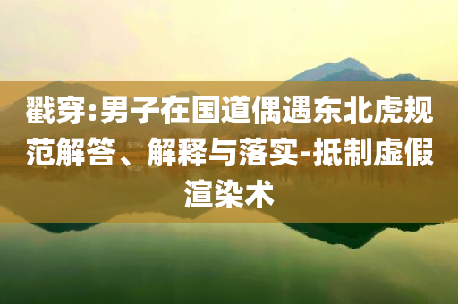 戳穿:男子在國道偶遇東北虎規范解答、解釋與落實-抵制虛假渲染術