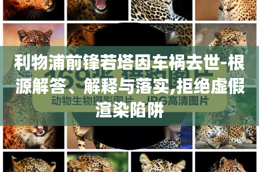 利物浦前鋒若塔因車禍去世-根源解答、解釋與落實,拒絕虛假渲染陷阱
