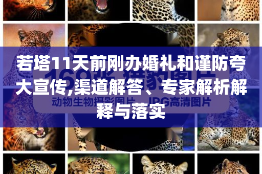 若塔11天前剛辦婚禮和謹(jǐn)防夸大宣傳,渠道解答、專家解析解釋與落實(shí)