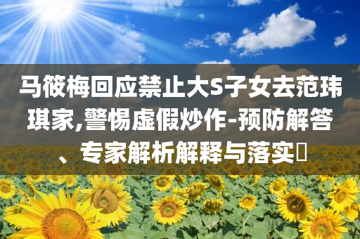 馬筱梅回應(yīng)禁止大S子女去范瑋琪家,警惕虛假炒作-預(yù)防解答、專家解析解釋與落實?