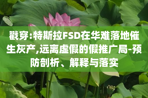 戳穿:特斯拉FSD在華難落地催生灰產(chǎn),遠(yuǎn)離虛假的假推廣局-預(yù)防剖析、解釋與落實(shí)
