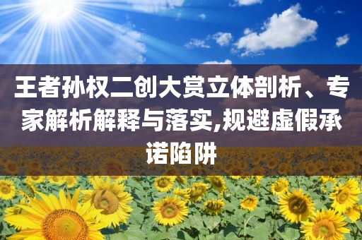 王者孫權二創大賞立體剖析、專家解析解釋與落實,規避虛假承諾陷阱
